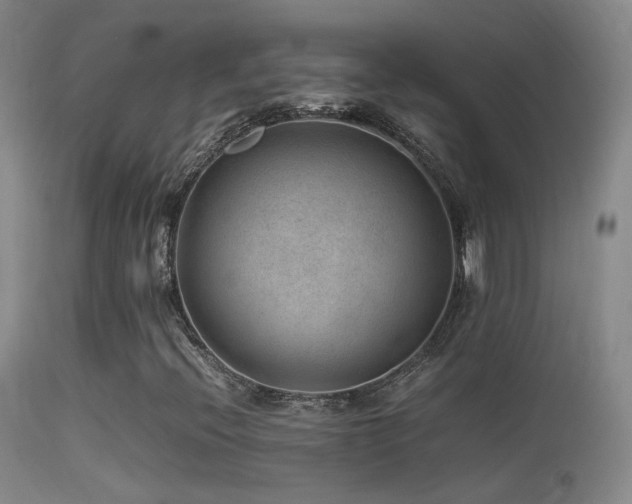 X0000113331396200909141415