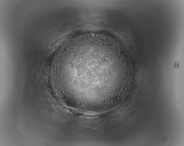X0000113331397200909141415