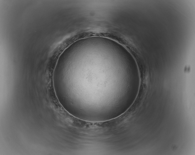 X0000113331398200909141416