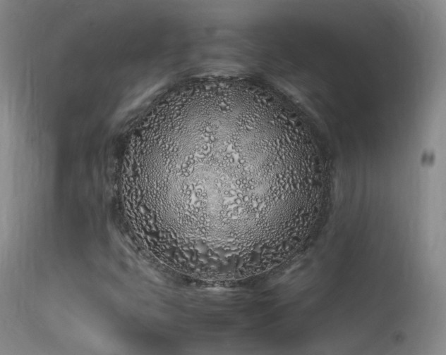 X0000113331399200909141416