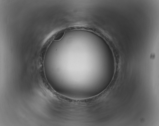 X0000113331400200909141416