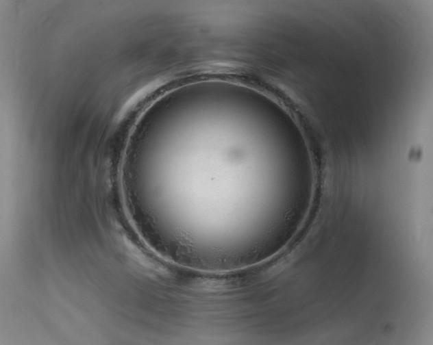 X0000113331402200909141416