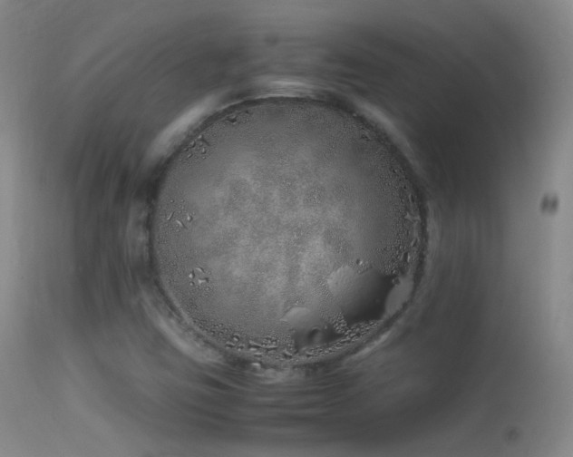 X0000113331403200909141416