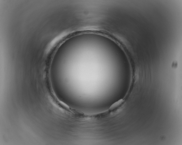 X0000113331406200909141416