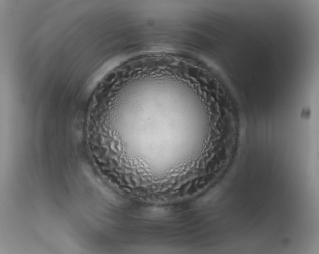 X0000113331409200909141416