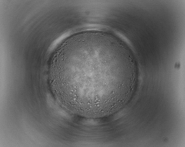X0000113331411200909141416