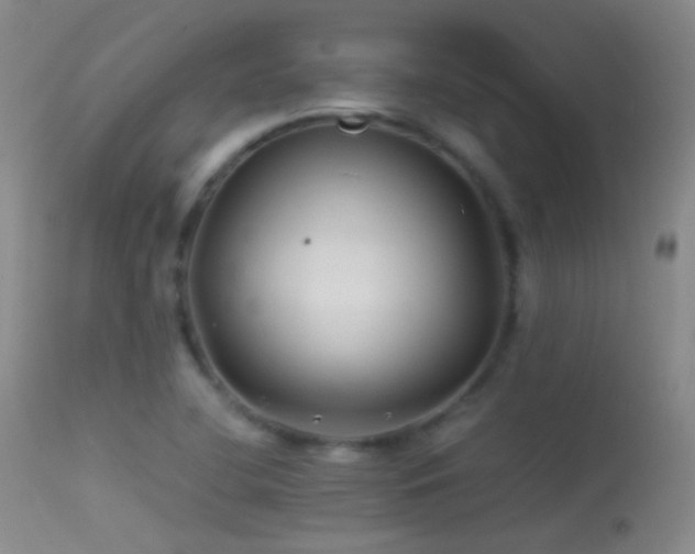 X0000113331412200909141416