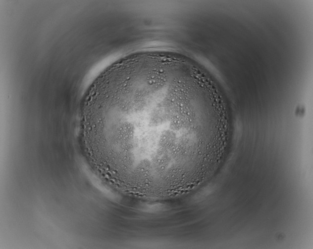 X0000113331413200909141416