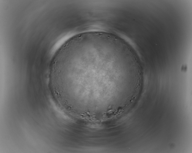 X0000113331415200909141416