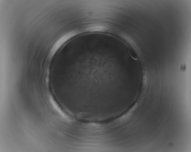 X0000113331418200909141416