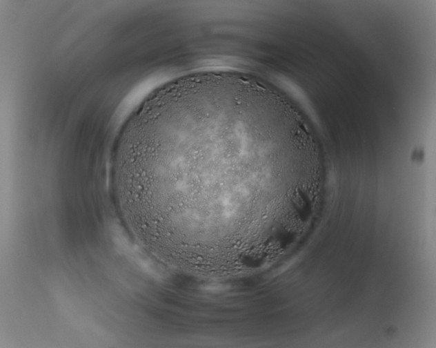 X0000113331419200909141416