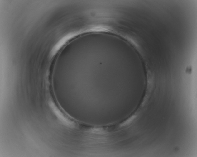 X0000113331422200909141416