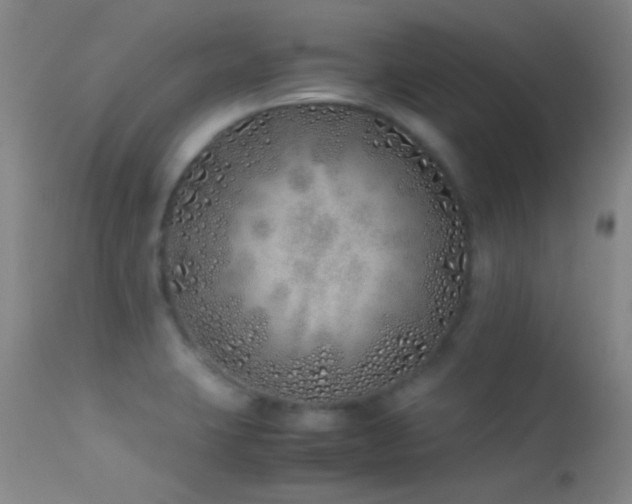 X0000113331423200909141416