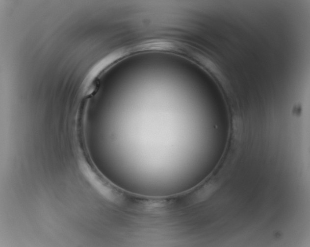 X0000113331426200909141416