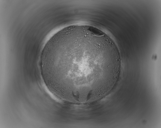 X0000113331429200909141416