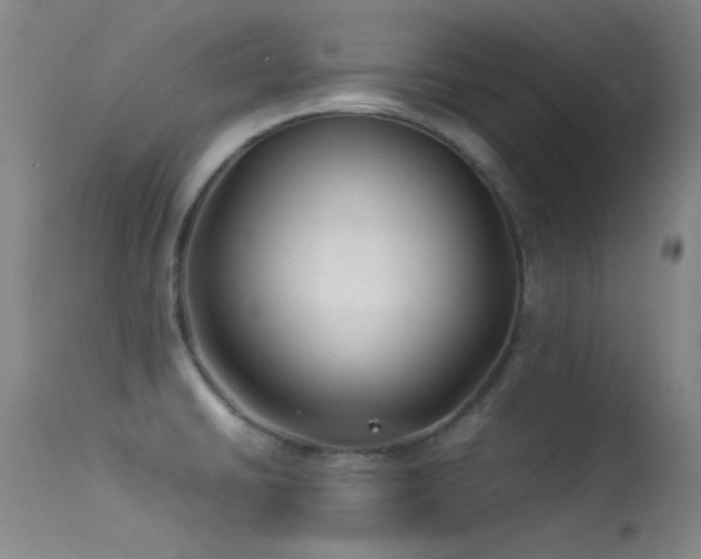X0000113331430200909141416