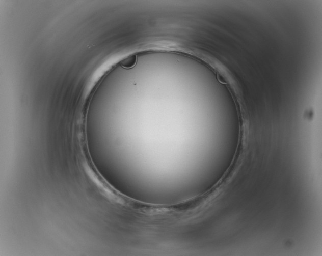 X0000113331432200909141416