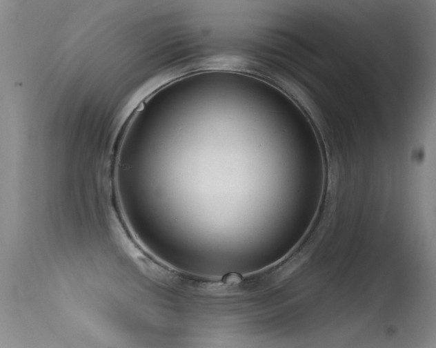 X0000113331434200909141416