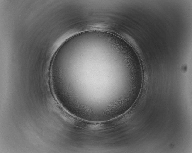 X0000113331435200909141416