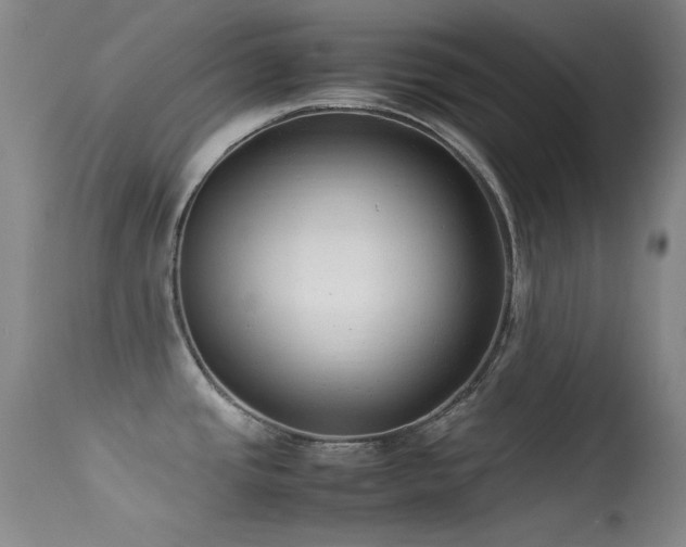 X0000113331437200909141416