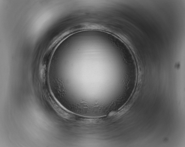 X0000113331438200909141416