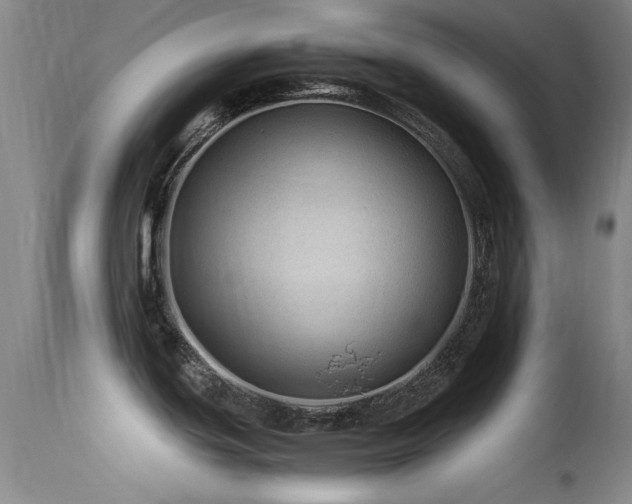 X0000113331439200909141416