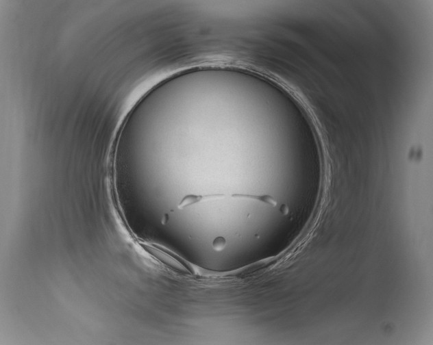 X0000113331440200909141416