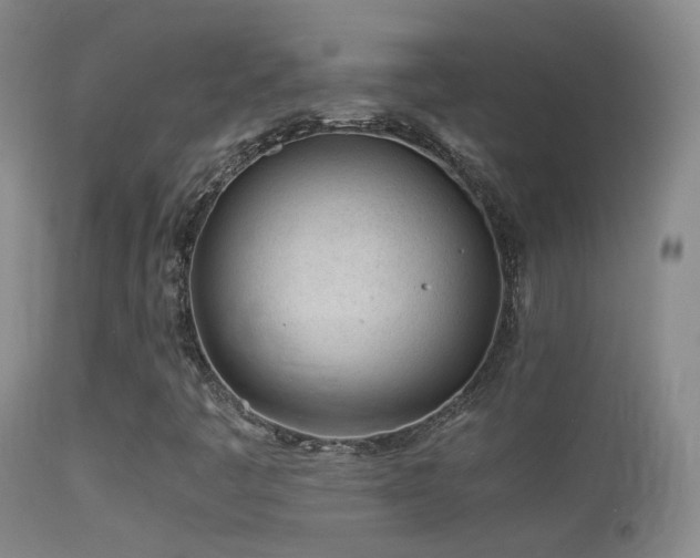 X0000113331445200909141415