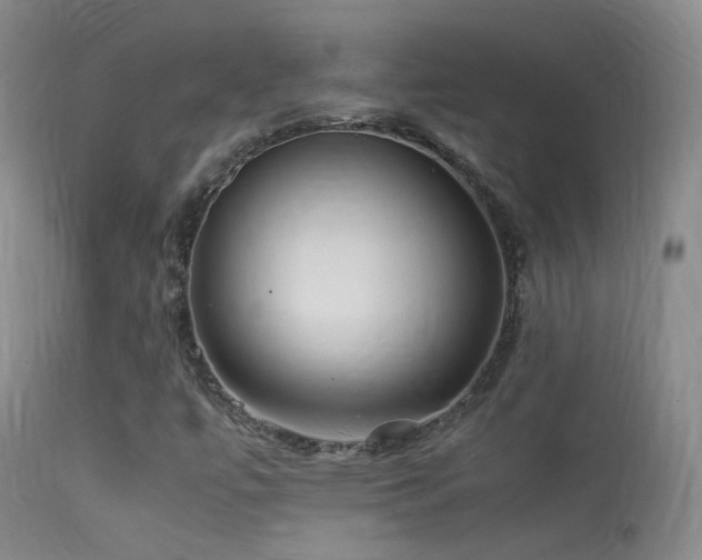 X0000113331447200909141415
