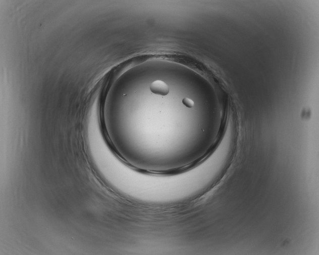 X0000113331449200909141415