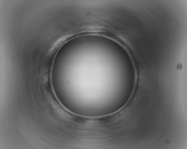 X0000113331451200909141415