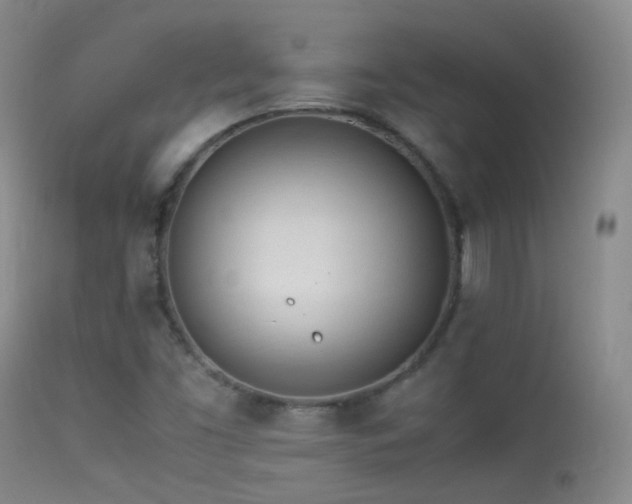 X0000113331453200909141415