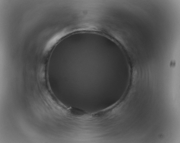 X0000113331455200909141415