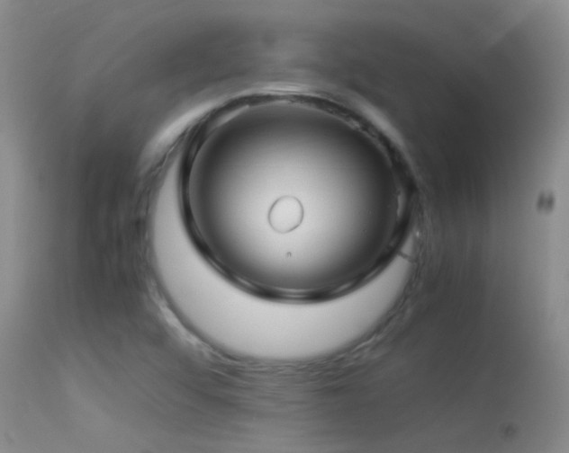 X0000113331456200909141415