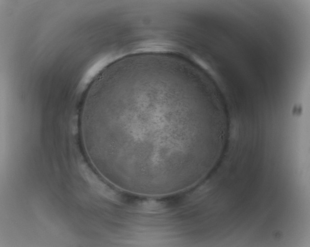 X0000113331459200909141415