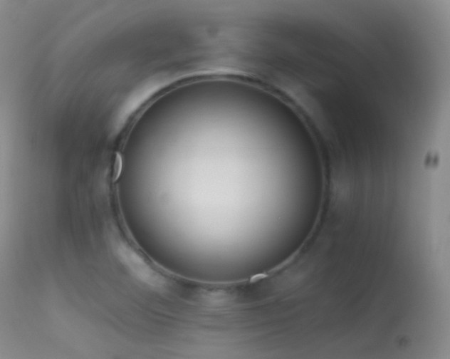X0000113331460200909141415