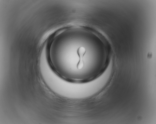 X0000113331461200909141415
