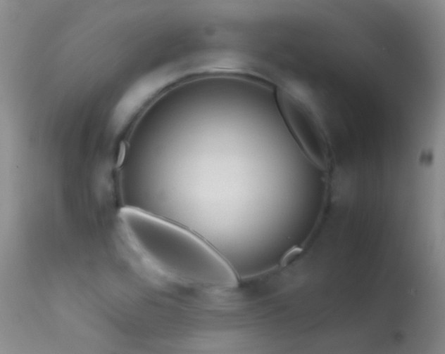 X0000113331464200909141415