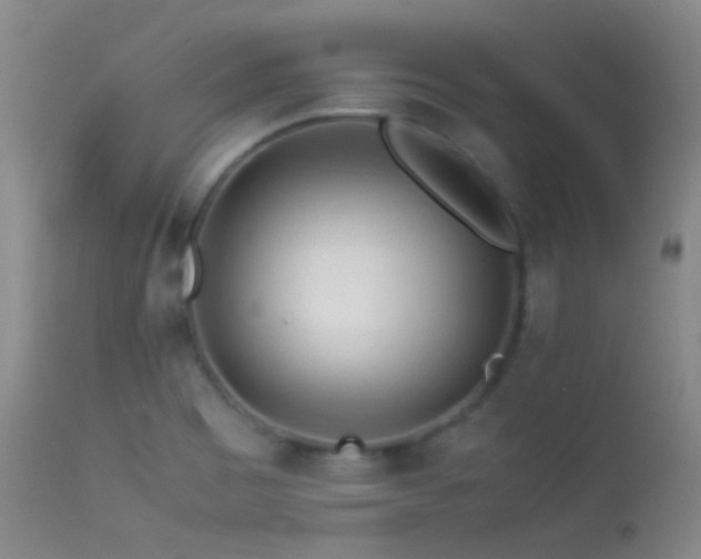 X0000113331465200909141415