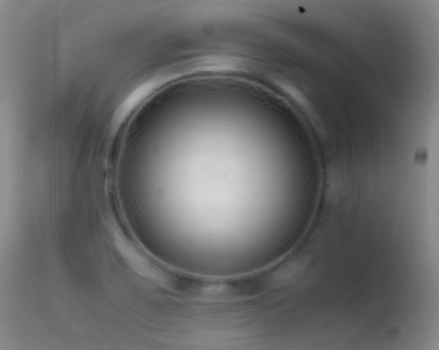 X0000113331467200909141415