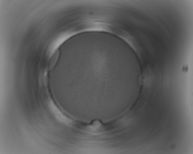 X0000113331468200909141415
