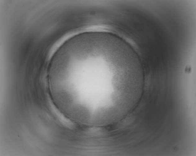 X0000113331470200909141415