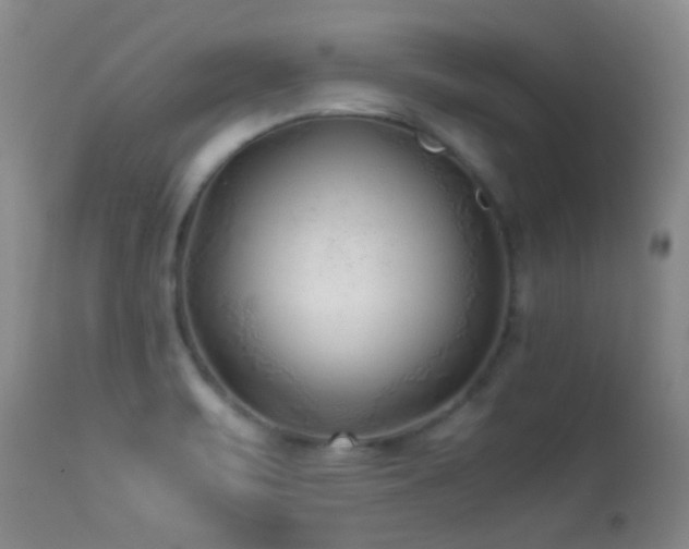 X0000113331471200909141415