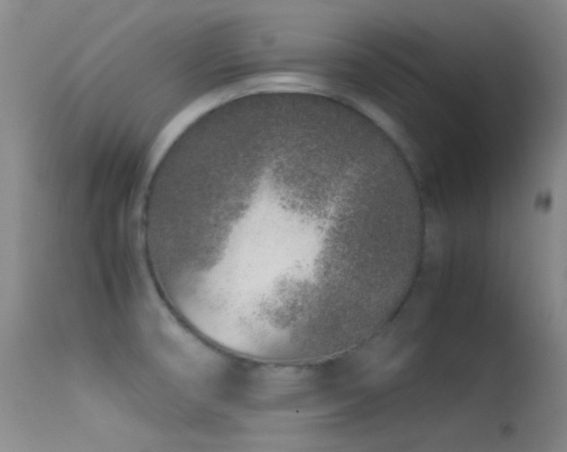 X0000113331474200909141415