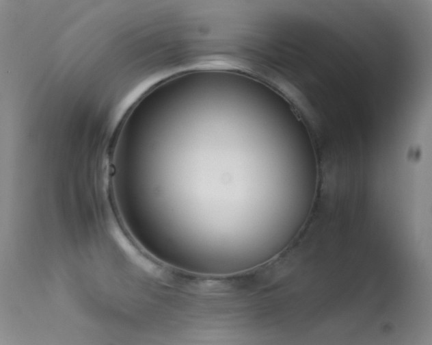 X0000113331476200909141415