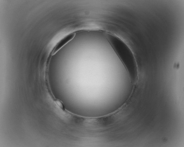 X0000113331477200909141415