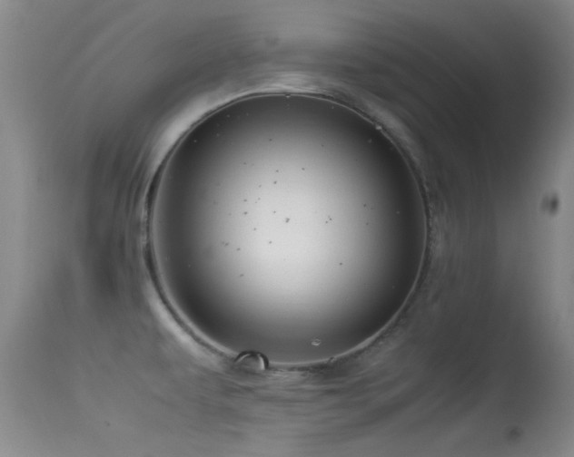 X0000113331479200909141415