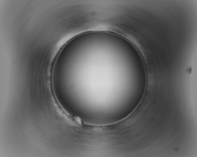 X0000113331480200909141415