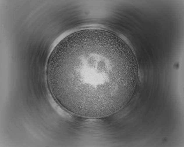 X0000113331482200909141415