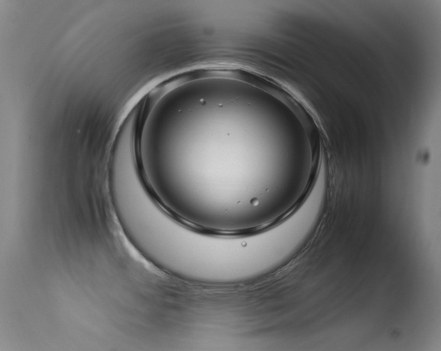 X0000113331484200909141415
